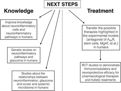 The Role of Neuroinflammation in Glaucoma: An Update on Molecular Mechanisms and New Therapeutic Options